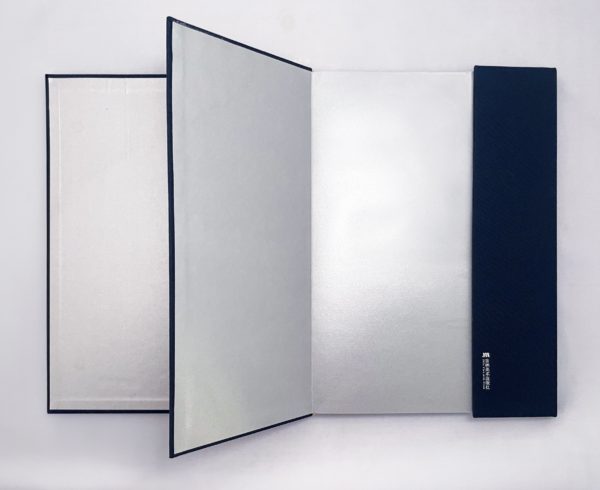 Album of Pedro Meyers photographic works.  Collected by the National Art Museum of China - Imagen 2